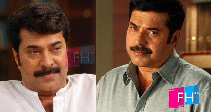 mammootty-lal-jose