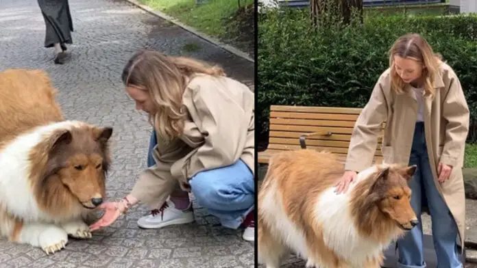 man spend 12 lakh to became dog viral video