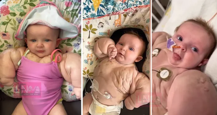 ADORABLE TOT NAMED AS BABY HULK