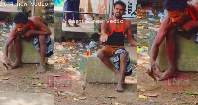 man playing with cobra funny video