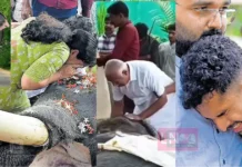 ശാന്തതയുടെ മൂർത്തിഭാവം, ഈരാറ്റുപേട്ട അയ്യപ്പൻ ഓർമ്മയായി; വിതുമ്പിക്കരഞ്ഞ് ആനപ്രേമികൾ