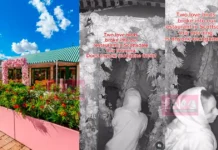 റെസ്റ്റോറന്റിൽ കയറി ആദ്യം ലൈം#ഗി#കബന്ധം, പിന്നെ മോഷണം; ക്യാമറയിൽ കുടുങ്ങി ‘ന്യൂ ജെൻ മോഷ്ട്ടാക്കൾ couple did romance in restaurent and steal things in night and caught in cctv