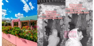 റെസ്റ്റോറന്റിൽ കയറി ആദ്യം ലൈം#ഗി#കബന്ധം, പിന്നെ മോഷണം; ക്യാമറയിൽ കുടുങ്ങി ‘ന്യൂ ജെൻ മോഷ്ട്ടാക്കൾ couple did romance in restaurent and steal things in night and caught in cctv