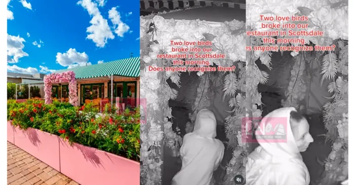 caught-camera-frisky-thieves-break couple did romance in restaurent and steal things in night and caught in cctv