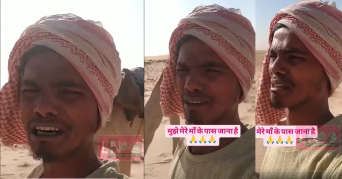 please hlep me i want to go to my home indian man trapped in soudi arabian dessert his desperate video viral