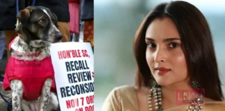 ആണുങ്ങൾ എപ്പോൾ റേ#പ്പ് ചെയ്യുമെന്നറിയില്ല എന്ന് കരുതി എല്ലാ ആണുങ്ങളെയും ജയിലിലിടണമോ തെരുവ് നായ വിഷയത്തിൽ സുപ്രീം കോടതിയെ വിമർശിച്ചു നടി രമ്യ.