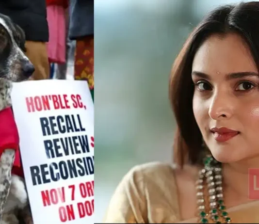 ആണുങ്ങൾ എപ്പോൾ റേ#പ്പ് ചെയ്യുമെന്നറിയില്ല എന്ന് കരുതി എല്ലാ ആണുങ്ങളെയും ജയിലിലിടണമോ തെരുവ് നായ വിഷയത്തിൽ സുപ്രീം കോടതിയെ വിമർശിച്ചു നടി രമ്യ.