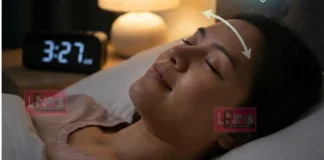 വെറും അഞ്ച് മിനിറ്റിനുള്ളിൽ ഉറങ്ങാൻ സഹായിക്കുന്ന ഒരു വിദ്യ; പ്രശസ്ത ന്യൂറോസയന്റിസ്റ്റ് പങ്ക് വച്ച ഈ മാർഗ്ഗം സോഷ്യൽ മീഡിയയിലും വൻ ഹിറ്റ്