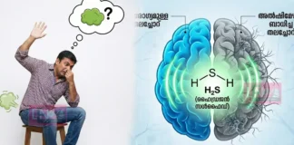 സ്വന്തം ‘വായു’ മണക്കുന്നത് ഓർമ്മശക്തി കൂട്ടുമോ? അൽഷിമേഴ്സിനുള്ള സാധ്യത കുറയ്ക്കുമോ ; ഞെട്ടിക്കുന്ന പുതിയ പഠനം പറയുന്നത് ഇങ്ങനെ