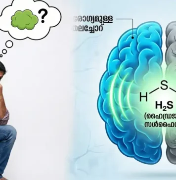 സ്വന്തം ‘വായു’ മണക്കുന്നത് ഓർമ്മശക്തി കൂട്ടുമോ? അൽഷിമേഴ്സിനുള്ള സാധ്യത കുറയ്ക്കുമോ ; ഞെട്ടിക്കുന്ന പുതിയ പഠനം പറയുന്നത് ഇങ്ങനെ
