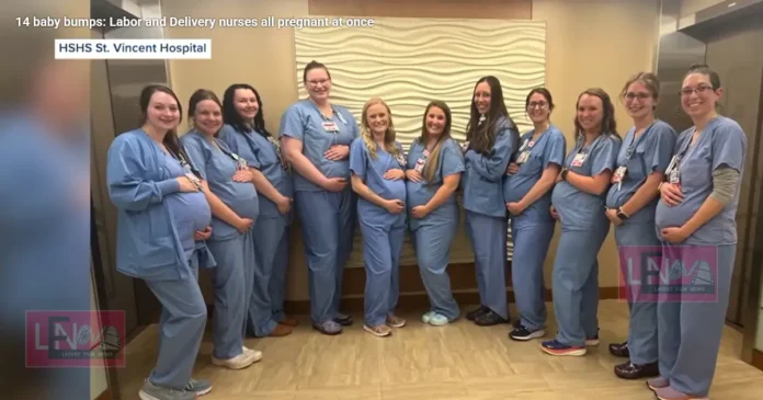 14 nurses of same hospital pregnant at same time rare co incident