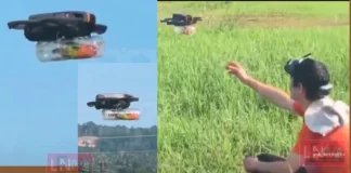 സ്നേഹത്തിന് അതിരുകളില്ല; പൂച്ചയുടെ ആക്രമണത്തിൽ പരിക്കേറ്റ പക്ഷിക്ക് ‘ഡ്രോൺ ചിറകുകൾ’ നൽകി ഉടമസ്ഥൻ!