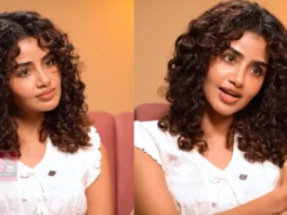 നാർസിസിസ്റ്റിക് അബ്യൂസിന് ഇരയായി; രണ്ടു വർഷത്തെ മാനസിക പീഡനം വെളിപ്പെടുത്തി അനുപമ പരമേശ്വരൻ