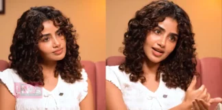 നാർസിസിസ്റ്റിക് അബ്യൂസിന് ഇരയായി; രണ്ടു വർഷത്തെ മാനസിക പീഡനം വെളിപ്പെടുത്തി അനുപമ പരമേശ്വരൻ
